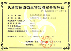 奔驰宝马游戏大厅